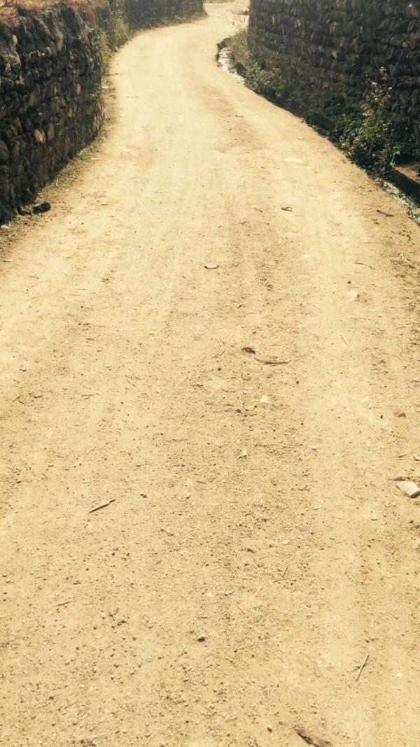 竹筒飯,叫花雞,烤番薯……廣東大山深處的美味 竹筒飯,叫花雞,烤番薯……廣東大山深處的美味