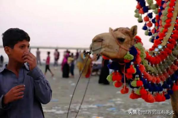 老鐵“巴基斯坦”現狀,帶你看看真實的巴基斯坦 老鐵“巴基斯坦”現狀,帶你看看真實的巴基斯坦