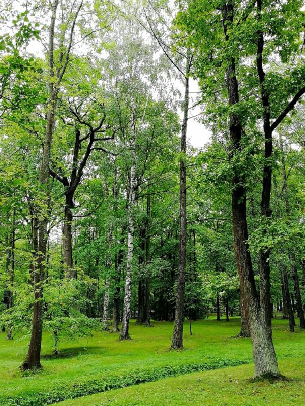 俄羅斯及北歐四國遊記（五）——風韻聖彼得堡下篇