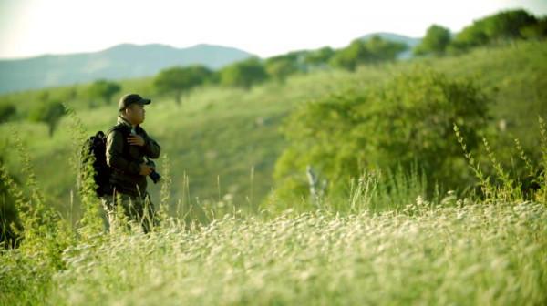 萬人說新疆丨美麗的雲上草原——達因蘇