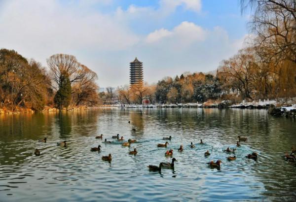 北大,永遠的熱愛! 北大,永遠的熱愛!