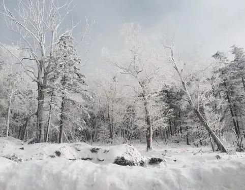 東北物產那麼豐富，古代燕國為何不向東北地區擴張？