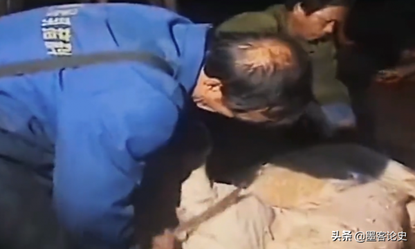 真實故事:江西56歲老農遇怪事,殺豬發現&quot;豬寶&quot;,專家調查揭開真相