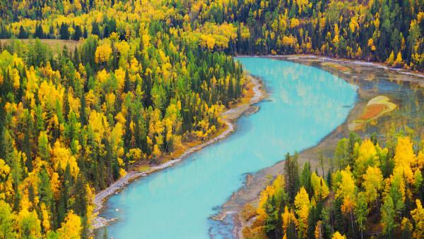 我國最貴列車，3萬一張票連比爾蓋茨都坐過，豪華程度超星級酒店