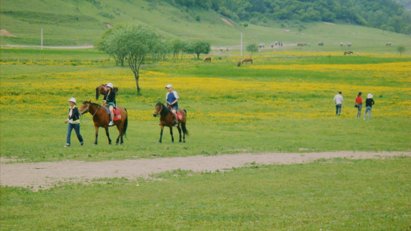 陝西寶雞有哪5處,好玩的地方和奇特景觀? 陝西寶雞有哪5處,好玩的地方和奇特景觀?