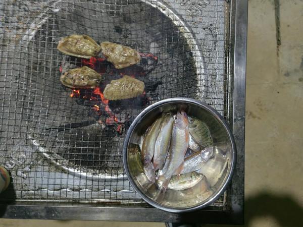 準備倉促確有意外驚喜，探釣之行忠愛橋