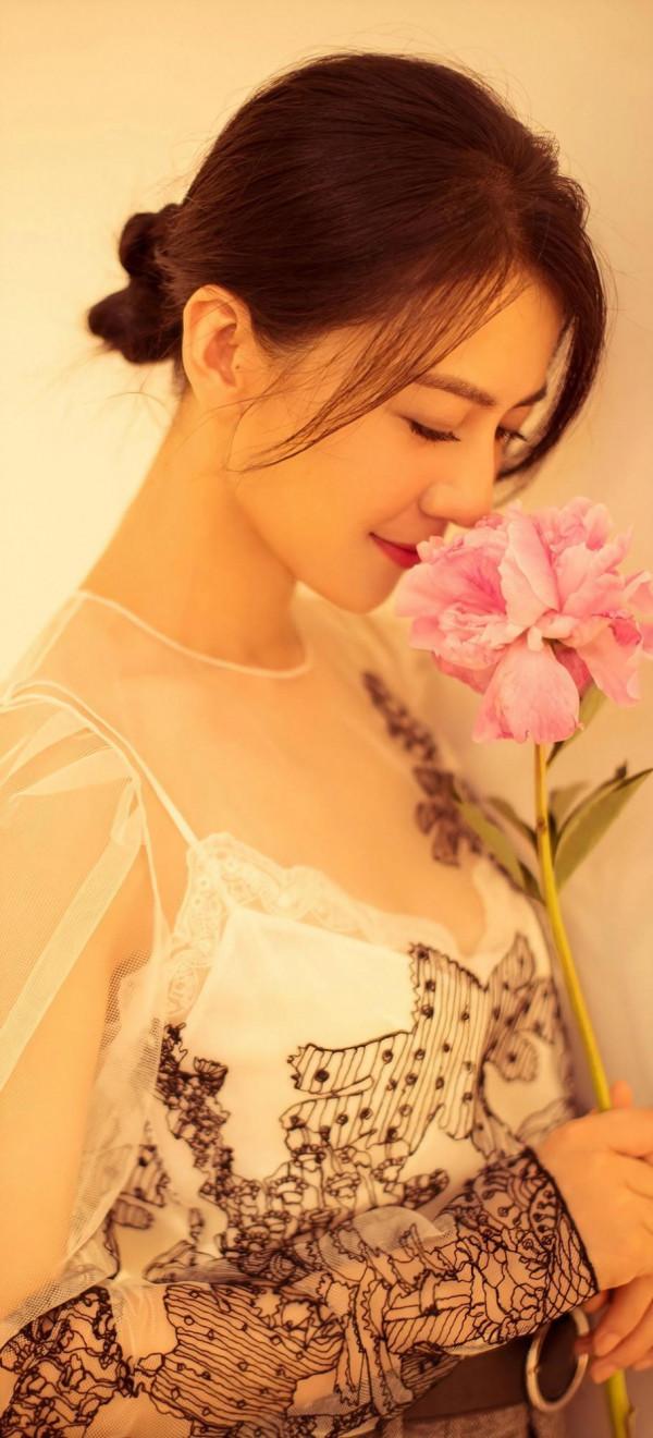 高圓圓高畫質美圖