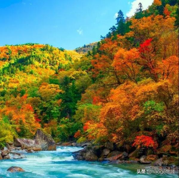 愛,在川西 愛,在川西