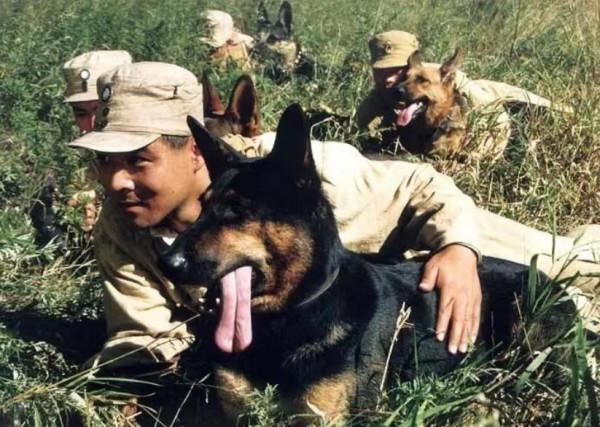 論明星對待動物都多不同，姚守崗炸死軍犬，孫儷卻主動救下老驢