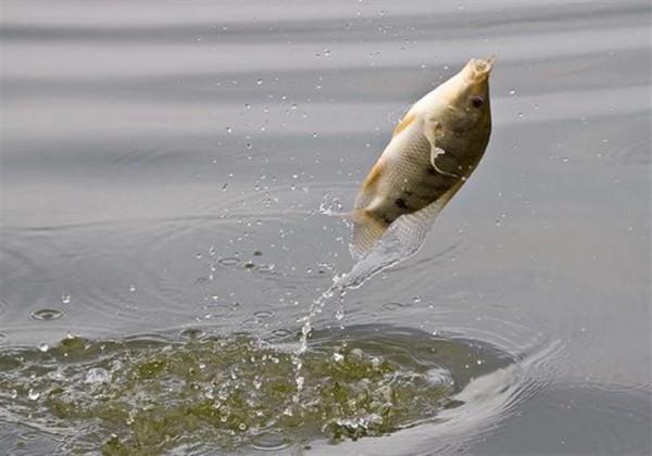 冬釣魚口輕？三個細枝末節處的改變，讓你漁獲翻番