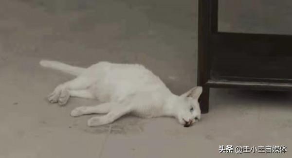 2021年評分3.0以下的六部劇，每一部都辣眼睛，全看過的都是人才