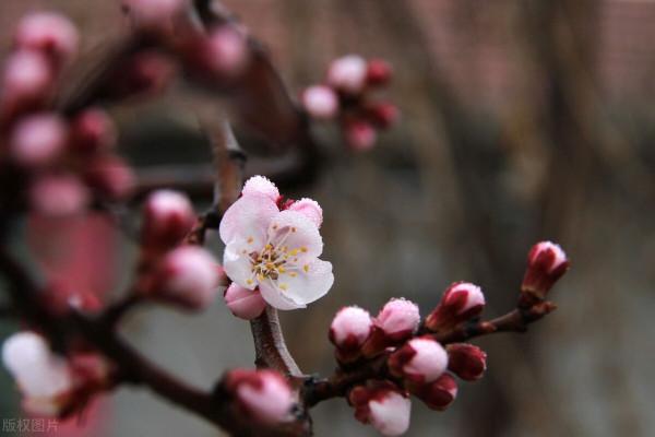 退休女人要會存錢，也要學會賺錢