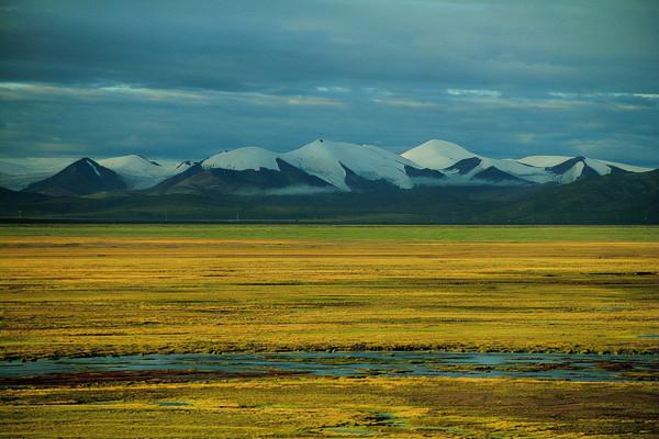 我國的四大高原，經常出現在地理課本里，你知道是哪幾個嗎？