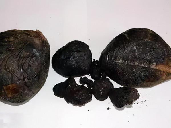 國家禁毒委員會辦公室權威釋出毒品基礎知識