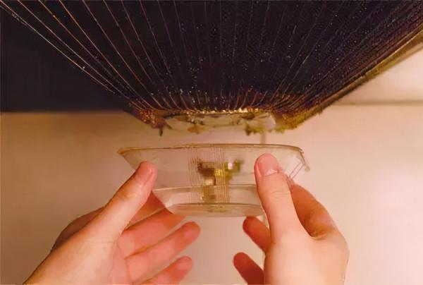 年底大掃除還用小蘇打？學會這麼做，省時省力還乾淨