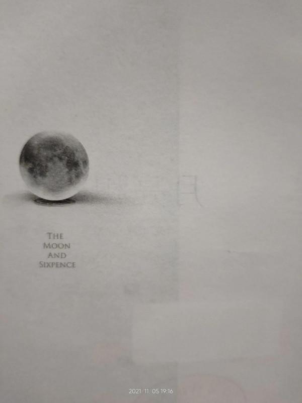 滿地都是六便士，他卻抬頭看見了月亮