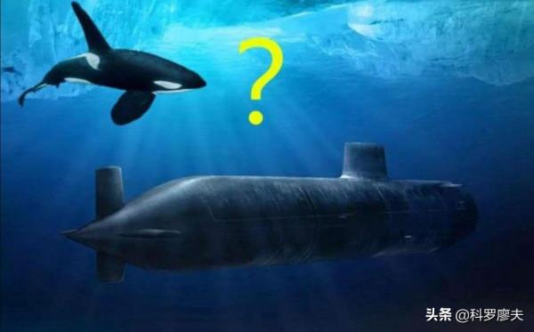 遠洋反潛戰又成新貴，為應對中俄潛艇部隊，美軍購2萬枚聲吶浮標