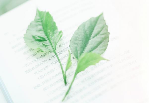 魔鈴塔羅:巨蟹座10月運勢,狀態比較平穩,沒有太多問題出現 魔鈴塔羅:巨蟹座10月運勢,狀態比較平穩,沒有太多問題出現