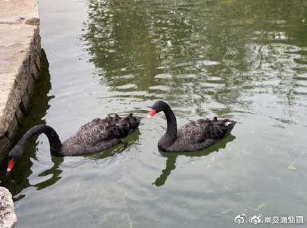 坐著BUS逛京城——三里河公園 坐著BUS逛京城——三里河公園