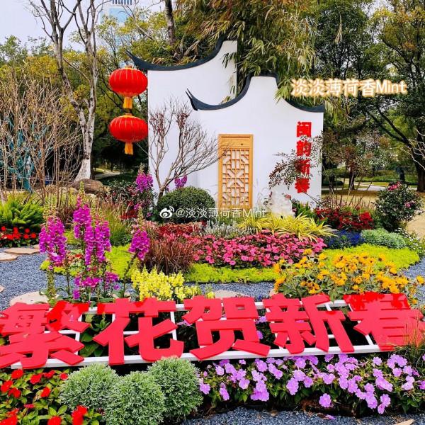 虎年說福 &vert; 春節要打烊？沒關係！咱還可以繼續浪