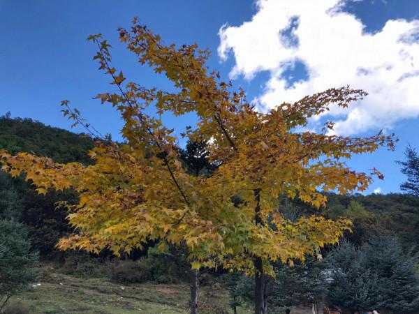 世界如果沒有<;聯想>; 世界如果沒有<;聯想>;