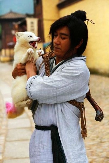 《當家主母》“喵咪事件”愈演愈烈,還有更殘忍的,都停止吧 《當家主母》“喵咪事件”愈演愈烈,還有更殘忍的,都停止吧