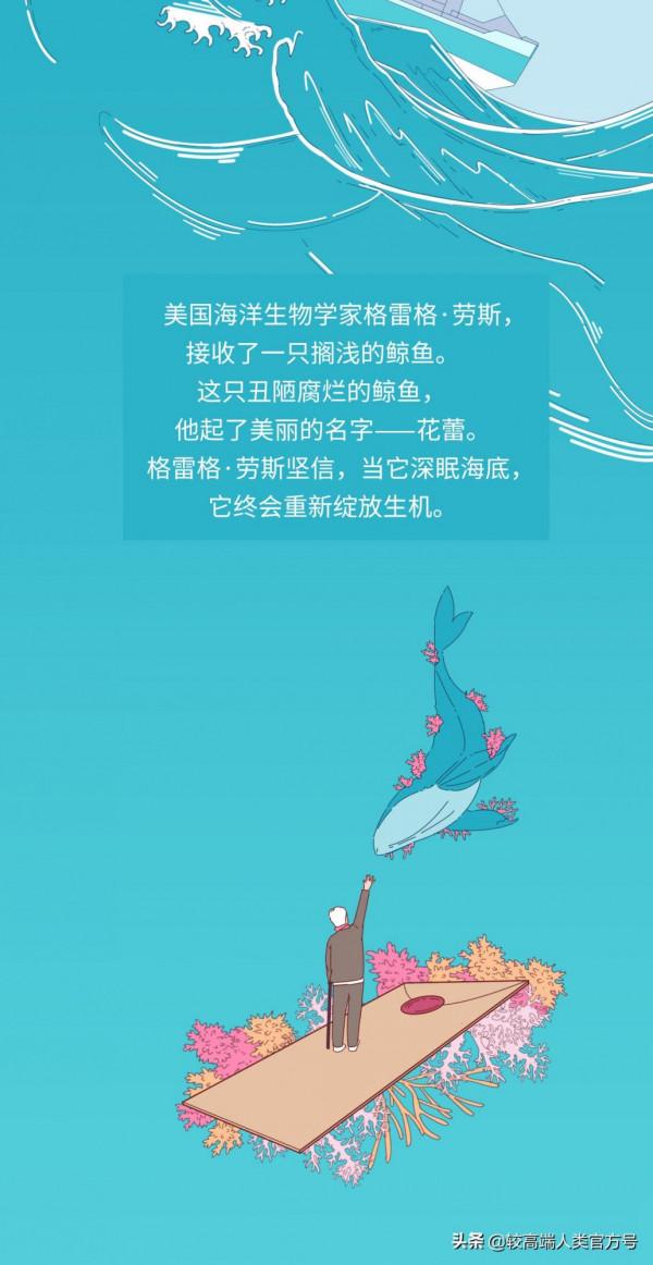 不久前，我目睹了世上最悲壯的死亡