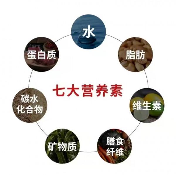 柳葉刀:中國癌症和心血管死亡,與飲食息息相關!致死率全球第一 柳葉刀:中國癌症和心血管死亡,與飲食息息相關!致死率全球第一