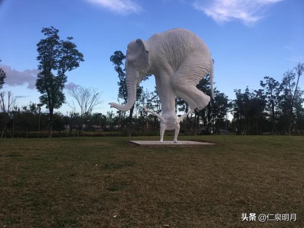 “尋魚”之行 “尋魚”之行