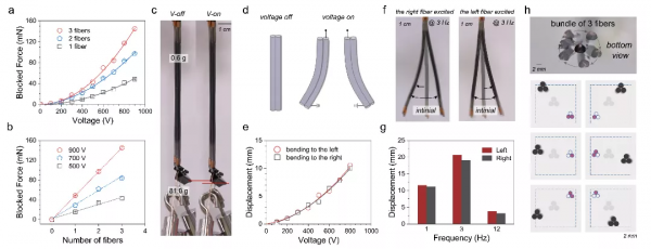 我國學者同一天發表6篇Nature，歐洲發現毒力更強的HIV變異株，馬斯克當選美國工程院院士丨一週科技導讀