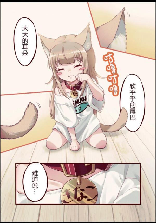 漫畫系列：《家裡迎來了貓貓！》