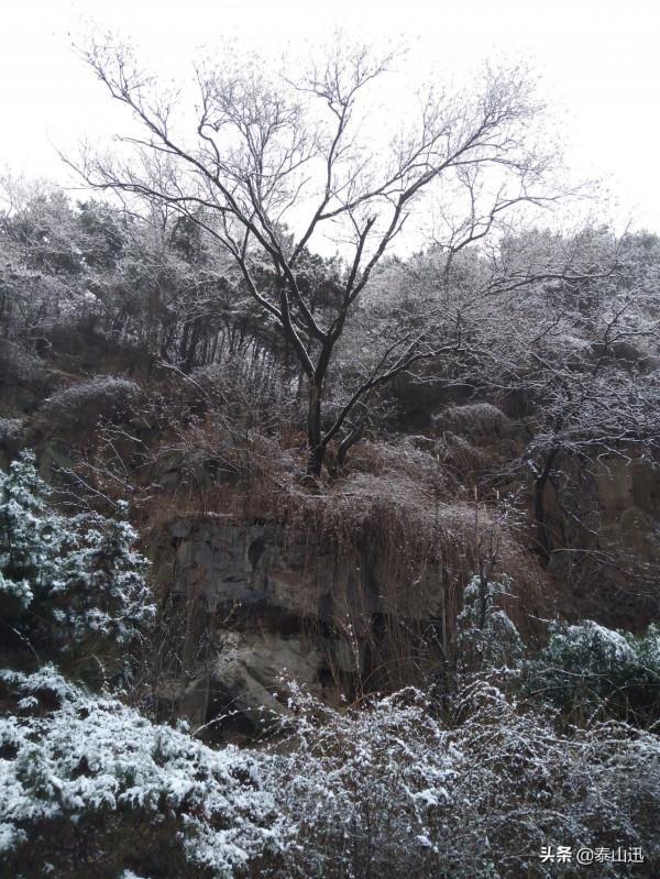 驢行泰山之初雪獨行