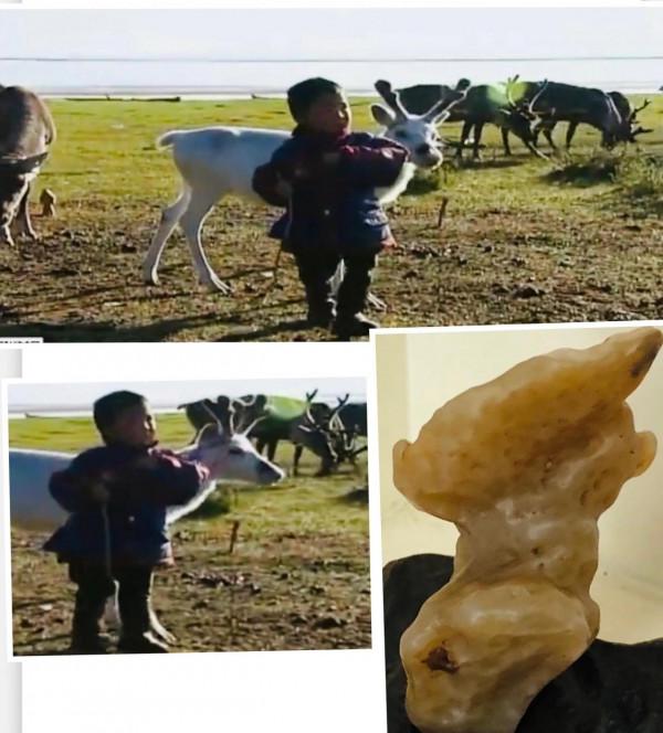 葡萄瑪瑙象形奇石輪廓形狀有點像鹿回頭