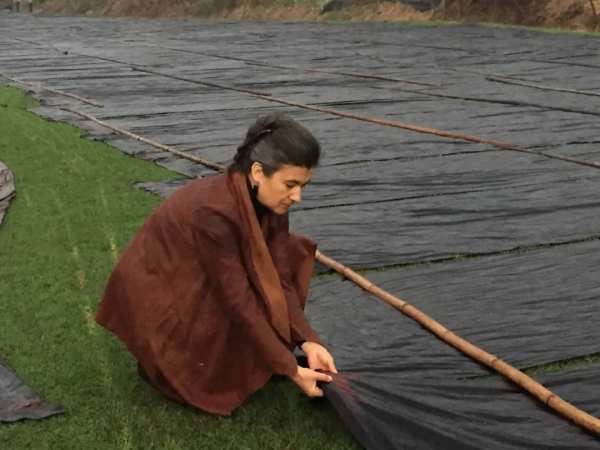 德國大師紮根北京胡同20年:中國元素使我獨樹一幟 德國大師紮根北京胡同20年:中國元素使我獨樹一幟