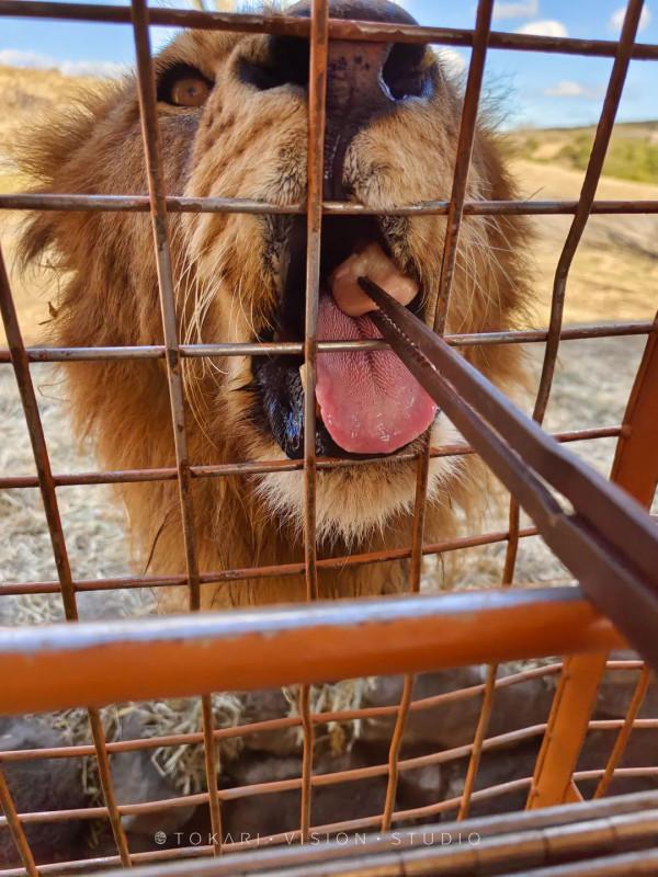 逛逛日本 &vert; 冬遊紀行 樂在九州