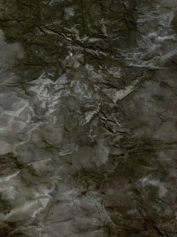 王廣宏畫作欣賞 王廣宏畫作欣賞