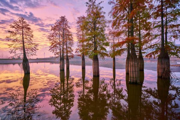 一見南京誤終身!忽然,想去金陵了 一見南京誤終身!忽然,想去金陵了
