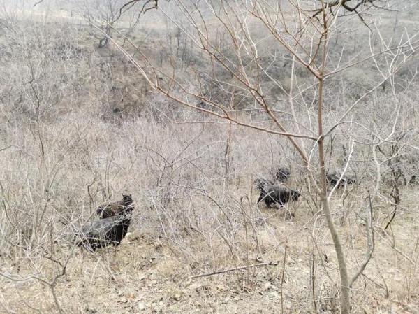 徒步白雲寺渡槽一一絕壁大梯一一上白雲一一白雲寺 徒步白雲寺渡槽一一絕壁大梯一一上白雲一一白雲寺