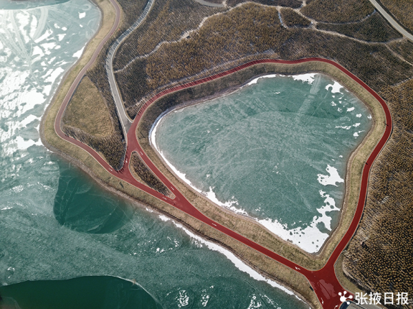 冬日的城市森林公園 美麗圖案如夢如幻