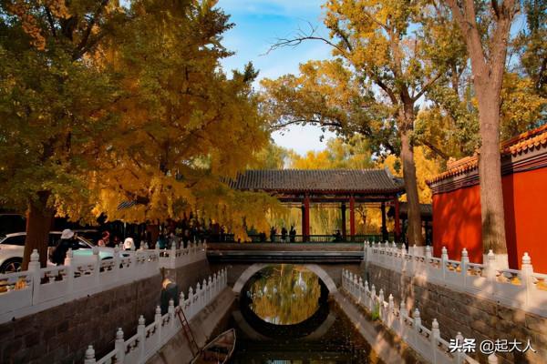 作為一個地道的北京土著,中山公園啊,都是小時候滿滿的記憶 作為一個地道的北京土著,中山公園啊,都是小時候滿滿的記憶