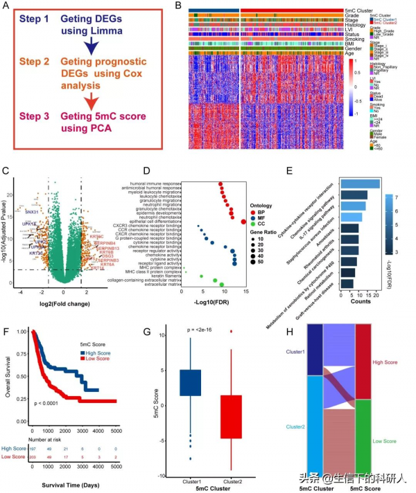 IF&equals;8&period;775，m5C純生信文章，下一個爆點？