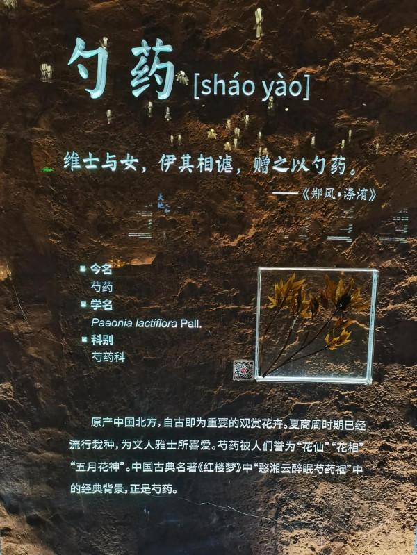 北京世園公園中國館