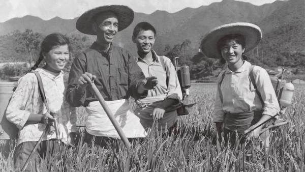 毛主席為什麼要堅持幹部“下放勞動”及試圖達到的目的種種