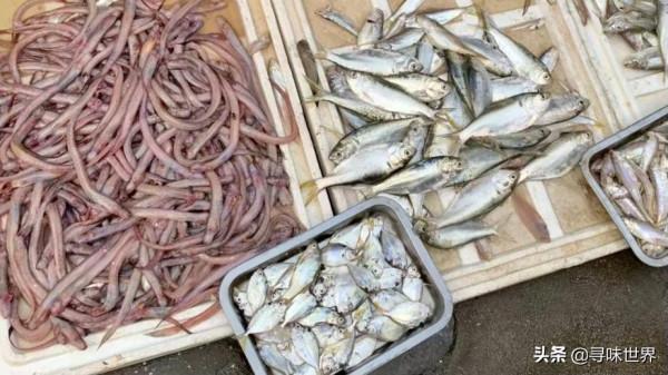 買魚時，內行人專買這9種純海魚，難以人工養殖，看完長知識