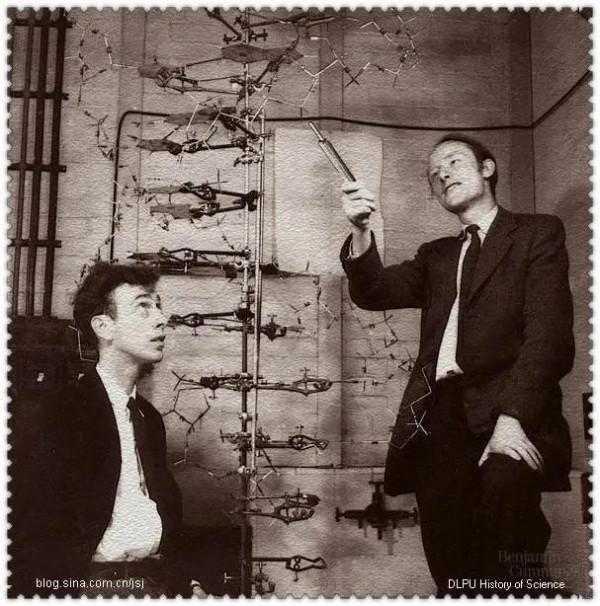 詞雲“讀”《DNA:生命的秘密》——諾獎得主沃森五十年思考大作 詞雲“讀”《DNA:生命的秘密》——諾獎得主沃森五十年思考大作