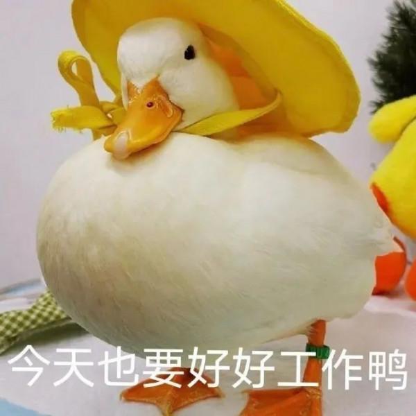 求求別在相信無腦謠言了 求求別在相信無腦謠言了