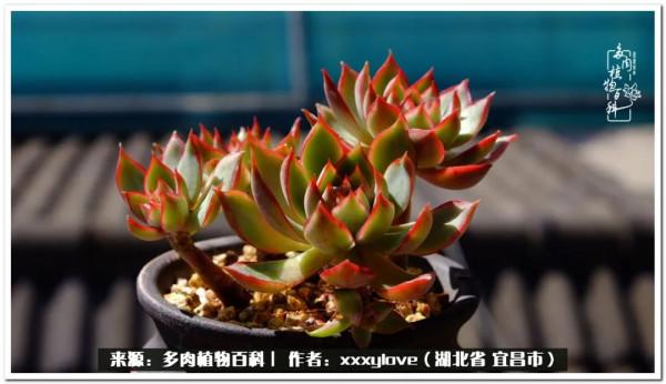 時光匆匆，一閃而逝，這世間萬物的美，都值得被記錄