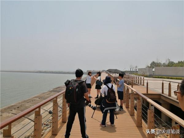 塘沽免費公園值得遊，順其自然地體驗，領略不一樣風景