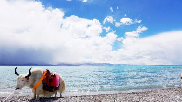 中國五個湖的中國之最,你知道中國最深的湖是哪個嗎? 中國五個湖的中國之最,你知道中國最深的湖是哪個嗎?