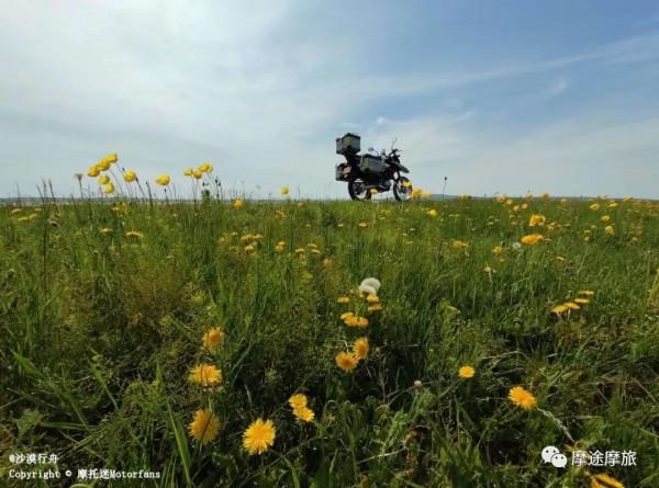 我的花甲之旅——沿途溼地沼澤,鳥語花香,森林草原,牛羊肥壯 我的花甲之旅——沿途溼地沼澤,鳥語花香,森林草原,牛羊肥壯